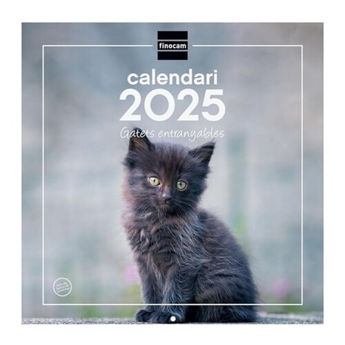 FINOCAM Calendari de paret imatges gatets Mes-Vista CAT 2025