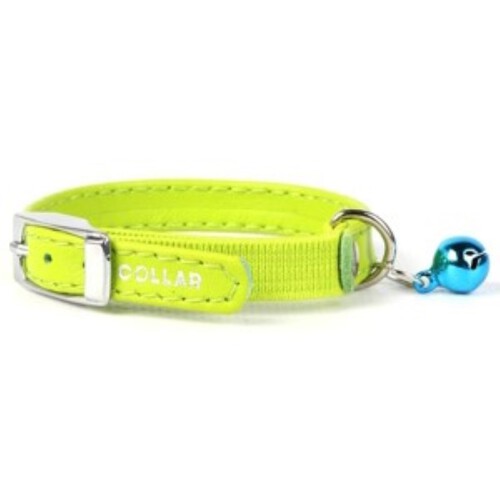 COLLAR Collar de color verd per a gat de 17-20 cm