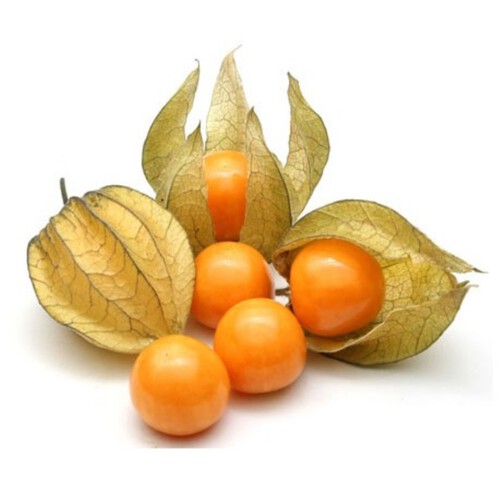  Physalis en terrina de 100 g