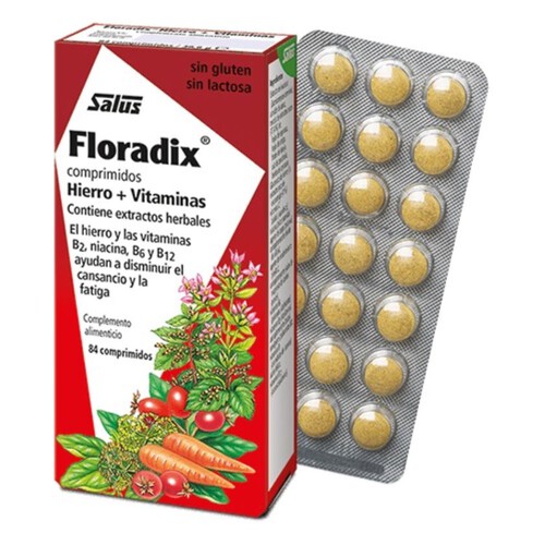 SALUS Complement de ferro i vitamines Floradix