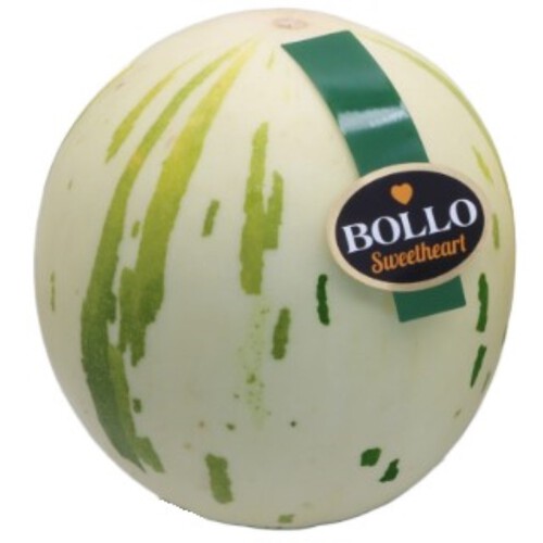  Meló bollo blanc